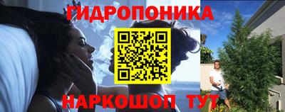шишки Бузулук
