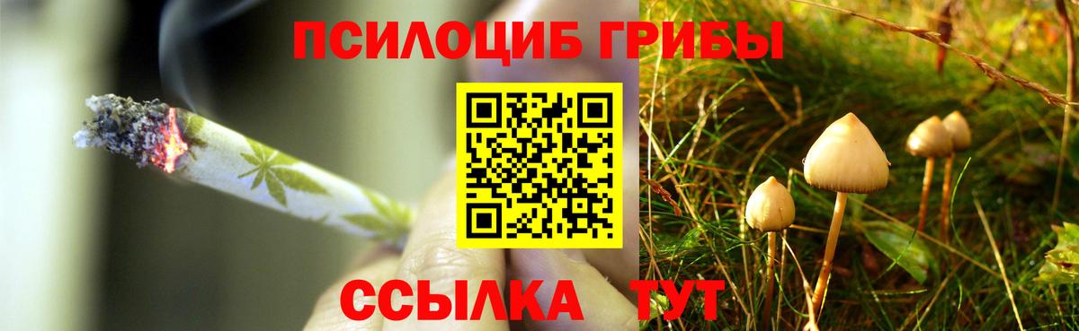 Галлюциногенные грибы прущие грибы  Вход с VPN  Петрозаводск 